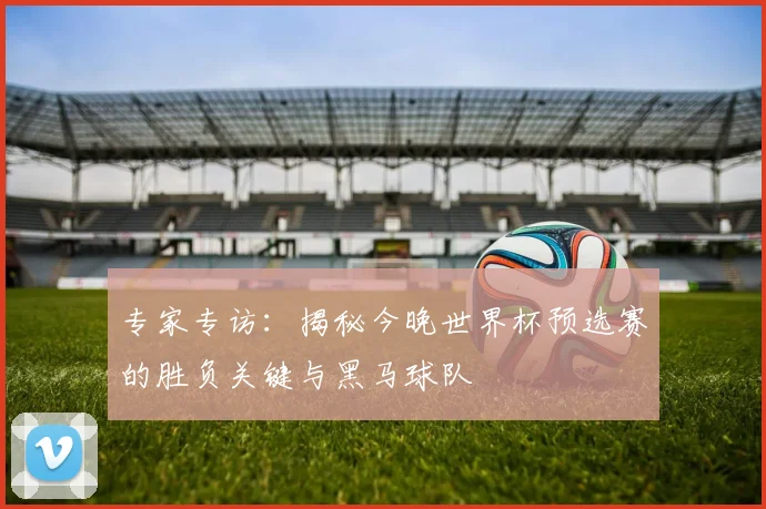 专家专访:揭秘今晚世界杯预选赛的胜负关键与黑马球队