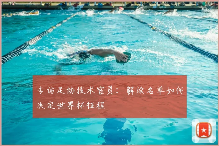 专访足协技术官员：解读名单如何决定世界杯征程